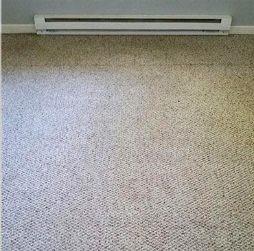 Indiana London On Carpet Steam Clean
